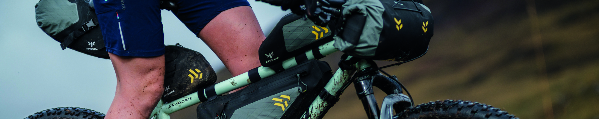 Apidura, l'abeille durable